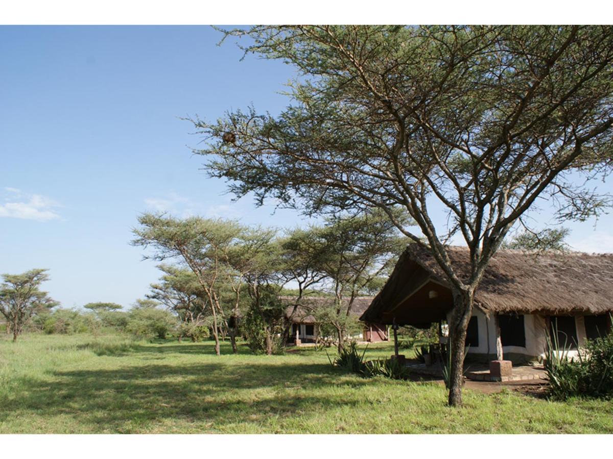 Ikoma Bush Camp Robanda Zewnętrze zdjęcie